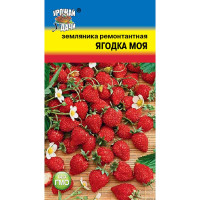 Семена Земляники Ягодка моя рем Урожай у дачи Ц