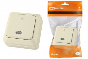 TDM Ладога перекл.(выкл прох) ОУ 1 кл. 10А сл. кость (инд.) (10!) SQ1801-0012