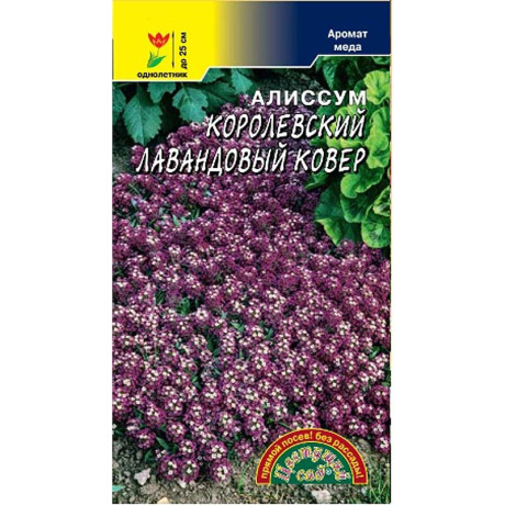 Алиссум Королевский Лавандовый ковер ЦветСад Ц