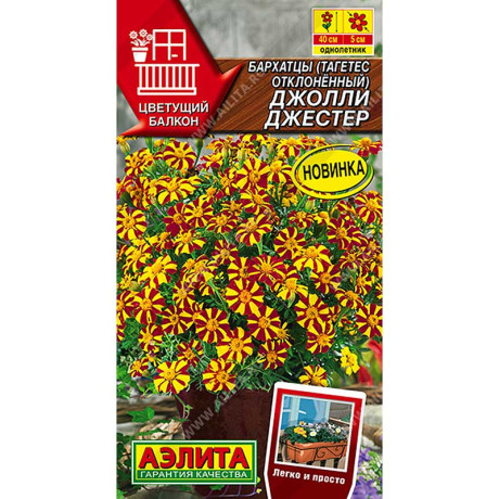 Бархатцы Джолли Джестер отклоненные Аэлита Цх10