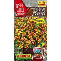 Бархатцы Джолли Джестер отклоненные Аэлита Цх10