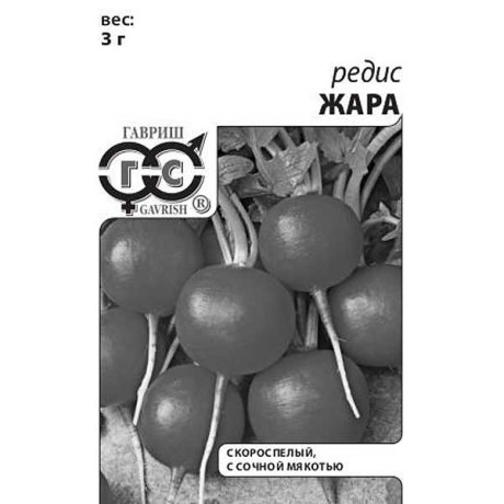 Редис Жара евр.отв.Гавриш Б