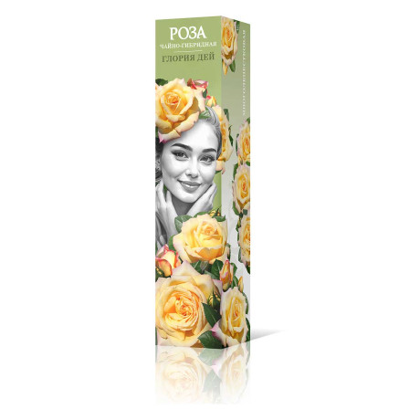 Роза чайно-гибридная Глория Дей Садовита