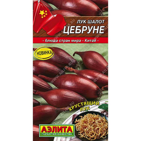 Лук Цебруне шалот Аэлита Ц