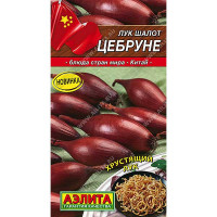 Лук Цебруне шалот Аэлита Ц
