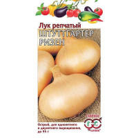 Лук Штуттгартер Ризен репч.  Гавриш Ц