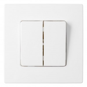 Bylectrica Мастер выкл. СУ 2 кл. белый (корп. ABS) С5 10-2002