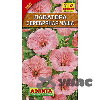 Лаватера Серебряная Чаша Аэлита Ц