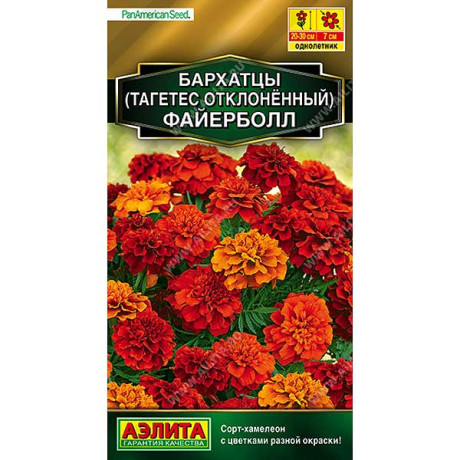 Бархатцы Файерболл отклоненные Аэлита Ц х10