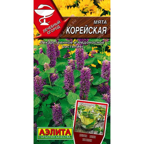 Мята Корейская Аэлита Ц