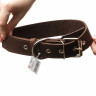 Ошейник кожаный одинарный ширина 35 мм длина 65 см