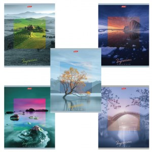 Тетрадь 80 л., HATBER, клетка, обл. мелов.  картон, "Impressions", 80Т5В1, T242148