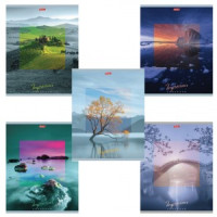 Тетрадь 80 л., HATBER, клетка, обл. мелов.  картон, &quot;Impressions&quot;, 80Т5В1, T242148