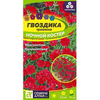 Гвоздика травянка Ночной костер СемАлт Ц