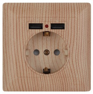 ЭРА Intro Solo роз. СУ 1 мест. земля штор, 16А+2хUSB, сосна 4-410-11 53720