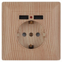 ЭРА Intro Solo роз. СУ 1 мест. земля штор, 16А+2хUSB, сосна 4-410-11 53720