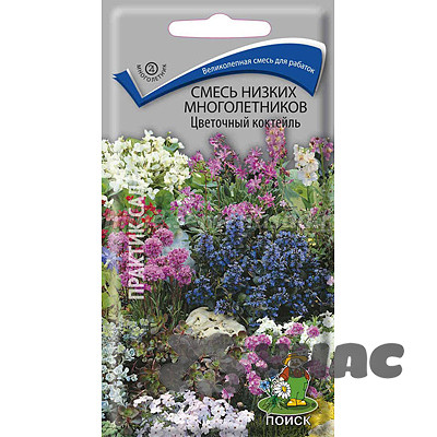 Смесь низких многолетников Цветочный коктейль Поиск Ц