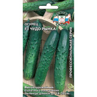Огурец Чудо рынка Седек Ц