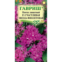 Пентас Счастливая звезда фиолетовая Гавриш Цх10