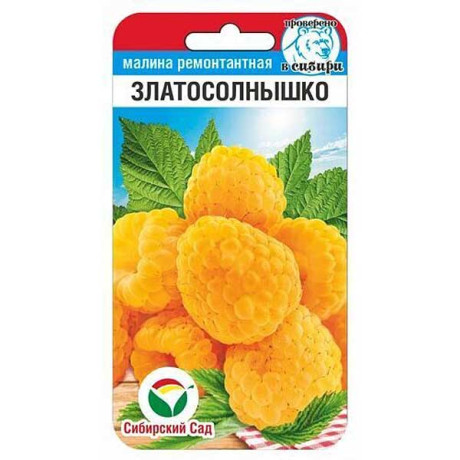 Малина Златосолнышко СибСад Ц