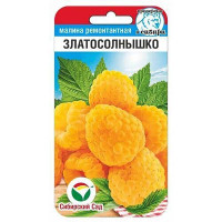 Малина Златосолнышко СибСад Ц