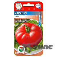 Семена Томат Карапуз Сибирский Сад