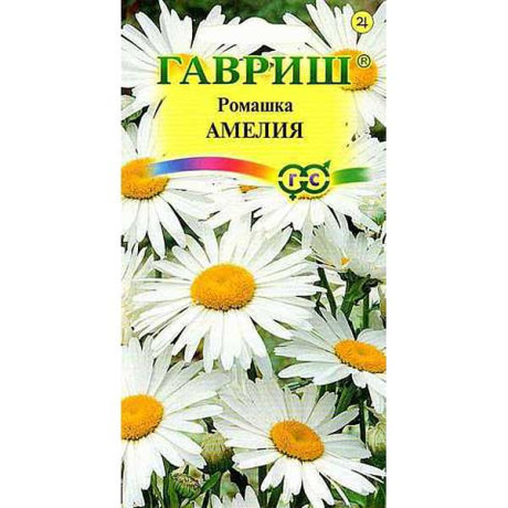 Ромашка (нивяник) Амелия Гавриш Ц