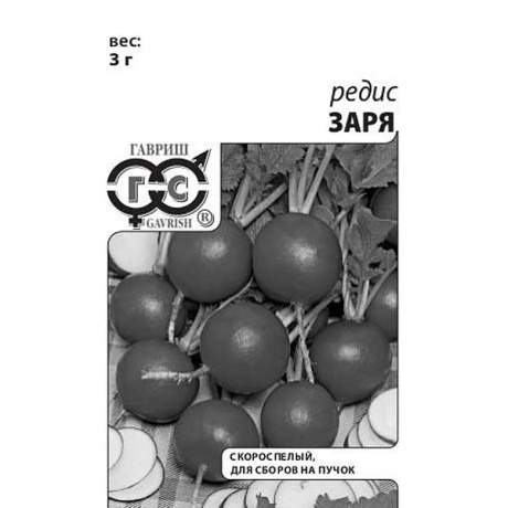 Редис Заря евр.отв.Гавриш Б