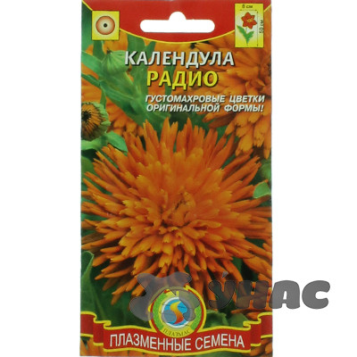 Календула Радио Плазма Ц