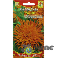 Календула Радио Плазма Ц