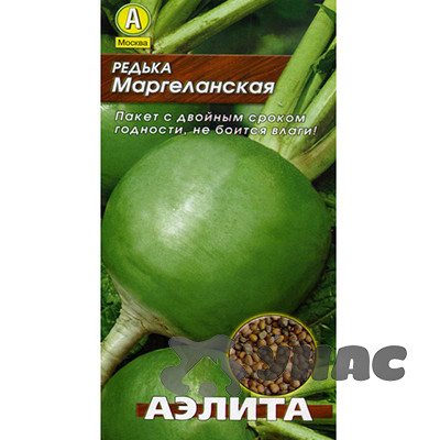 Редька Маргеланская Аэлита Ц