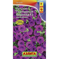 Петуния Пурпурный Водпад амп. Аэлита Ц