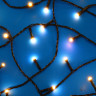 СНОУ БУМ Гирлянда эл. вьюн 20м, 200LED, шампань, 8 режимов, ПВХ черный, 220В