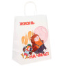 Пакет подарочный с кручеными ручками L 24х14х30см, "Попугай Кеша. На чиле", в ассортименте