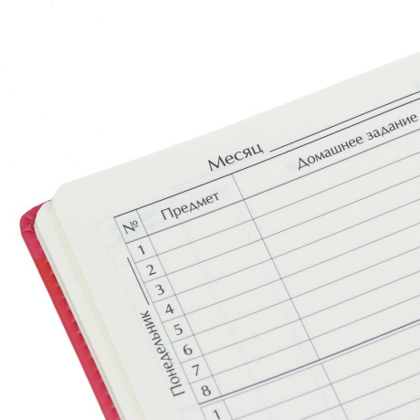 BY Русские Супергерои Дневник шк., А5+ (20,8x16,5см), 48л., тв.обл.с пор., иск.к., "Василиса джуниор