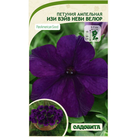 Петуния Изи Вэйв F1 Неви Велюр 4др ампельная PanAmerican/Садовита Ц/Новинка