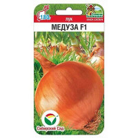 Лук Медуза СибСад Ц