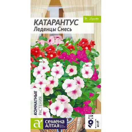 Катарантус Леденцы СемАлт Ц