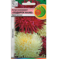 Астра комплимент Подарок маме смесь НК Ц