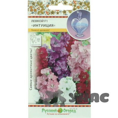 Левкой Интуиция низкор. смесь НК Ц