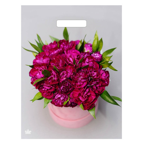 Пакет Корзина пионов с вырубной ручкой, L 40x31 см, 60 мкм ПВД