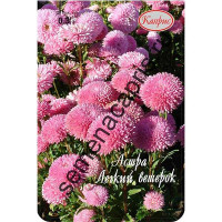 К Астра Легкий ветерок Каприс