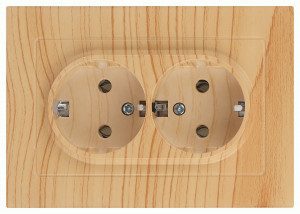 ЭРА Intro Accent мех. роз. СУ 2 мест. (земля), 16А 250В, сосна 6-205-11