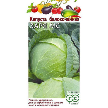 Капуста Заря МС Гавриш Ц