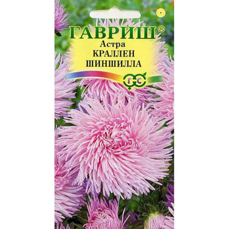 Астра Краллен Шиншила нежно-розовая Гавриш Ц