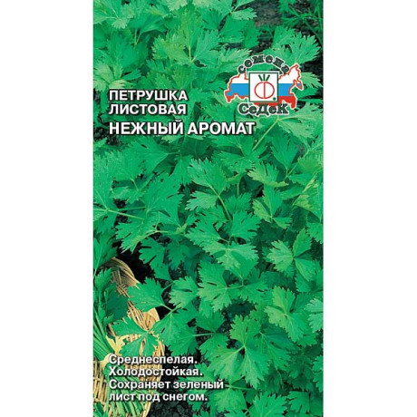 Петрушка Нежный аромат листовая Седек Ц