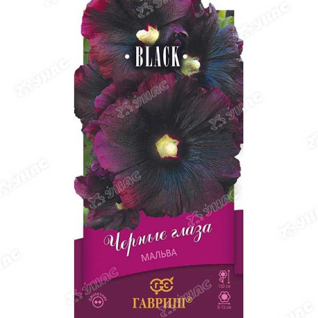 Мальва Черные глаза Гавриш Ц