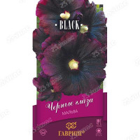 Мальва Черные глаза Гавриш Ц