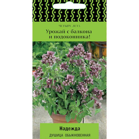 Душица Надежда Поиск Ц