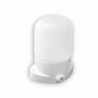 LEEK баня/сауна белый 60W IP54 прямой керам.осн/жаропрочн.стекло 150° ЖКХ НПБ OL LE061100-0065